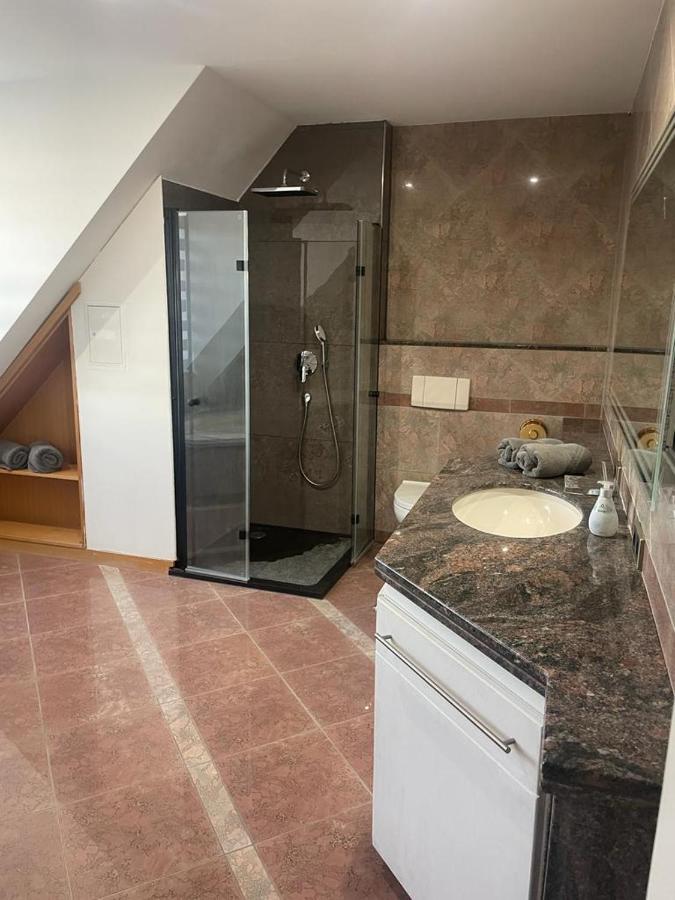 Luxurioese Wohnung Im Herzen Von Rlp Bobenheim-Roxheim Zewnętrze zdjęcie
